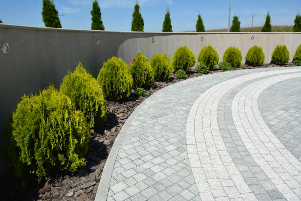 Reasons to Select Us for Your Driveway Paving Requirements in Indian Hills, TX